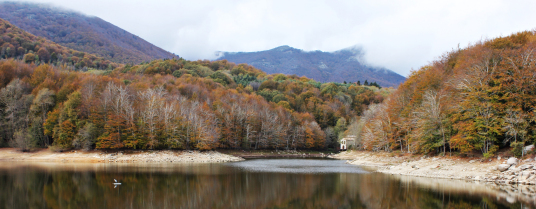 Pantà de Vallmanyà i Castell de Fluvià