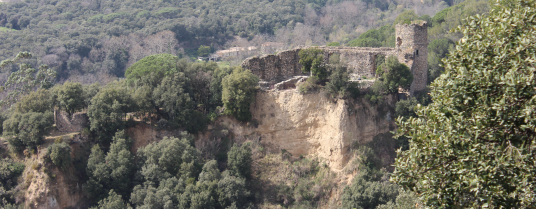 Castell de Montclús
